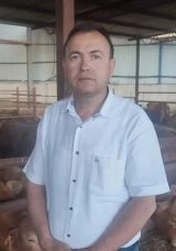 Manisa’da Şok Edici Ölüm: Kurbanlık Dananın Darbesiyle Hayatını Kaybetti!