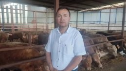 Manisa’da Şok Edici Ölüm: Kurbanlık Dananın Darbesiyle Hayatını Kaybetti!