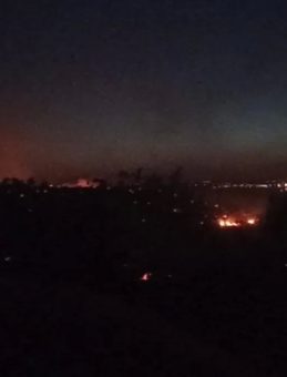 Mardin'deki Orman Yangını Kontrol Altında! Soğutma Çalışmaları Devam Ediyor