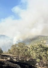 Mardin'deki Orman Yangınına M&uuml;dahale Devam Ediyor