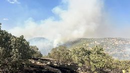 Mardin'deki Orman Yangınına Müdahale Devam Ediyor