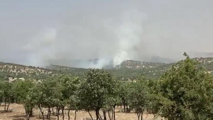 Mardin’de Orman Yangını: Ekipler Müdahale Ediyor