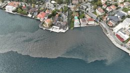 Marmara Denizi’ne Atık Su Sızıntısı Yağmuru