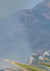 Marmaris'te Orman Yangını Başladı