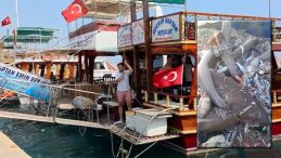 Mersin’de 8 Köpek Balığı İddiası: Turizmciler Tepkili