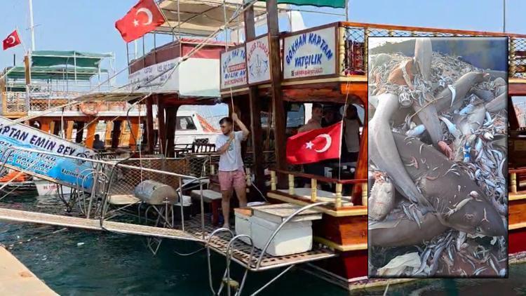 Mersin’de 8 Köpek Balığı İddiası: Turizmciler Tepkili