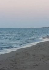 Mersin’de Korkunç Olay: Denize Giren İki Genç Hayatını Kaybetti!