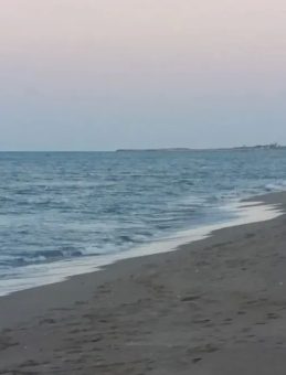 Mersin’de Korkunç Olay: Denize Giren İki Genç Hayatını Kaybetti!