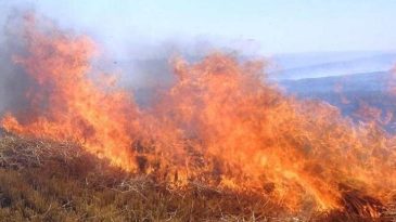 Meteoroloji'den Orman Yangını Uyarısı