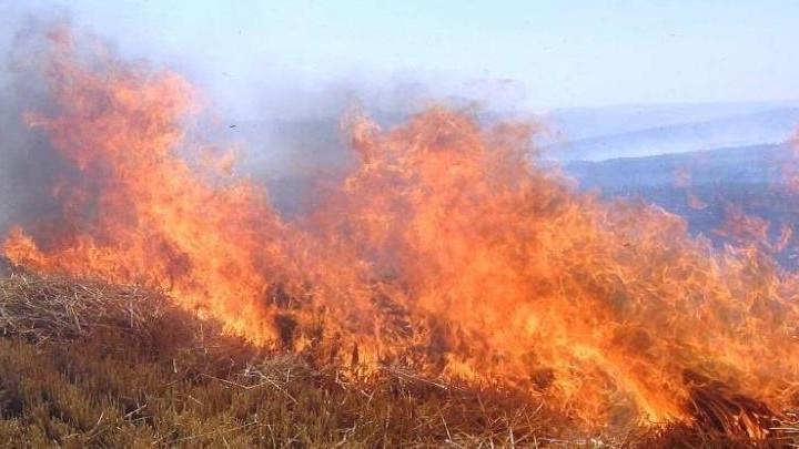 Meteoroloji'den Orman Yangını Uyarısı