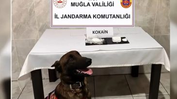 Muğla’da Uyuşturucu Operasyonu: 73 Gözaltı ve 43 Tutuklama