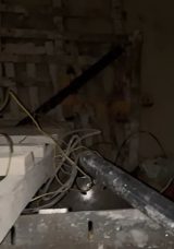 Müteahhitin Korkunç Sonu: Suyu Tahliye Ederken Elektrik Çarpması