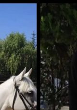 Mutluluğa adım atmak isterken felaketle karşılaştılar! Kız isteme g&ouml;r&uuml;şmesi kanlı sona erdi: Polis memuru acı bir şekilde hayatını kaybetti
