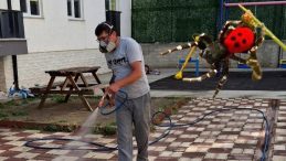Nadir Görülen Tür: ‘Eresus Sandaliatus’ Şirinevler Mahallesi’nde Tespit Edildi!