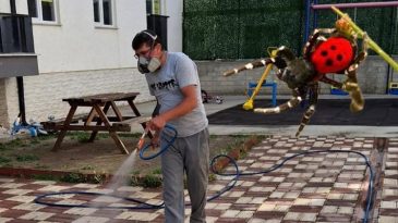 Nadir Görülen Tür: ‘Eresus Sandaliatus’ Şirinevler Mahallesi’nde Tespit Edildi!