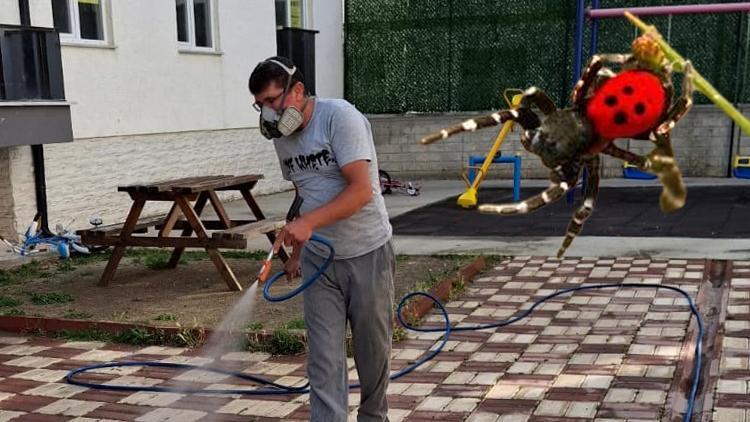 Nadir Görülen Tür: ‘Eresus Sandaliatus’ Şirinevler Mahallesi’nde Tespit Edildi!