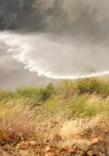 OGM’den Kurban Bayramı Öncesi Yangın Uyarısı