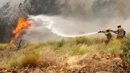 OGM’den Kurban Bayramı Öncesi Yangın Uyarısı