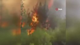 Orman Yangınında İtfaiyecilerin Zorlu Mücadelesi: "Geri Çık Ağabey Yanacağız"