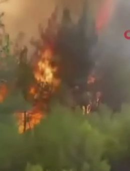 Orman Yangınında İtfaiyecilerin Zorlu Mücadelesi: "Geri Çık Ağabey Yanacağız"