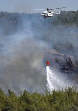 Orman Yangınlarına Sebep Olan 7 Kişi Tutuklandı
