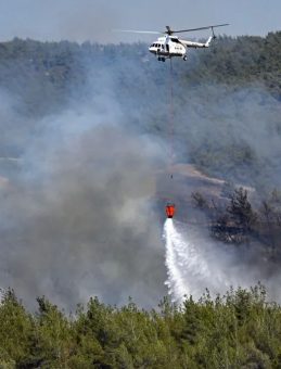 Orman Yangınlarına Sebep Olan 7 Kişi Tutuklandı
