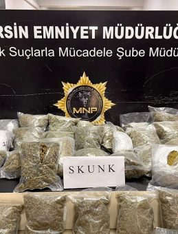 Otoban Çıkışında Uyuşturucu Operasyonu: 45 Paket Ele Geçirildi, 3 Şüpheli Tutuklandı