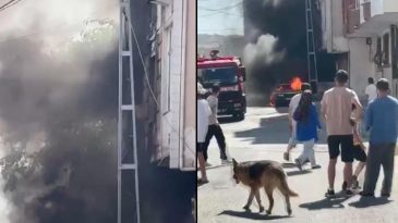 Park Halindeki Ara&ccedil; Alev Alev Yandı! Yangın Bina İle Buluştu