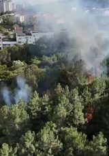 Pendik'te Ormanlık Alanda &Ccedil;ıkan Yangın Kontrol Altına Alındı