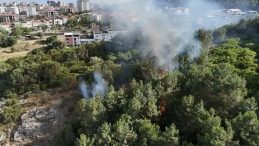Pendik'te Ormanlık Alanda Çıkan Yangın Kontrol Altına Alındı