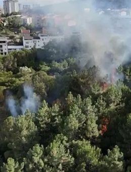 Pendik'te Ormanlık Alanda Çıkan Yangın Kontrol Altına Alındı