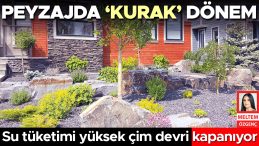 Peyzajda ‘Kurak’ Dönem
