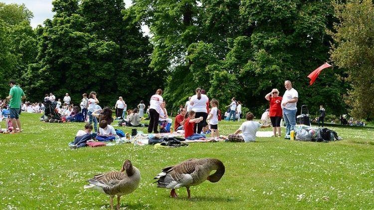 Piknik Tutkunları Dikkat! KKKA Vakalarında Dikkat Çeken Artışlar