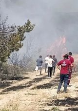 Piknikçilerden Kaynaklanan Orman Yangını: 1 Kişi Gözaltında