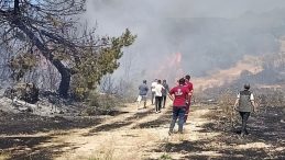 Piknikçilerden Kaynaklanan Orman Yangını: 1 Kişi Gözaltında