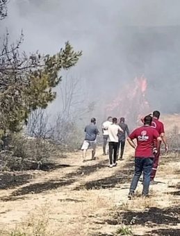 Piknikçilerden Kaynaklanan Orman Yangını: 1 Kişi Gözaltında