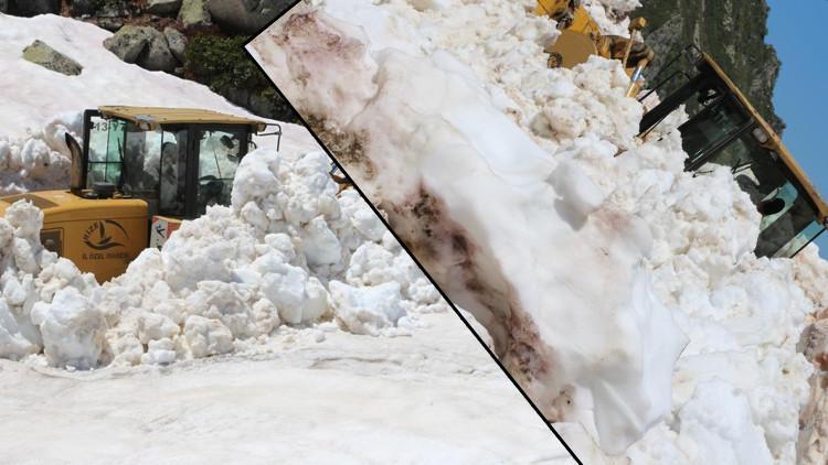 Rize'de Haziran Ayında Kış Manzarası: Evler Çığ Altında!