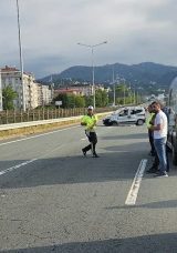 Rize’deki 2 kardeşin öldüğü kazaya arı sebep oldu