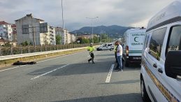 Rize’deki 2 kardeşin öldüğü kazaya arı sebep oldu