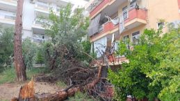 Rüzgar ve Yağmura Dayanamadı! Binanın Üzerine Devrildi