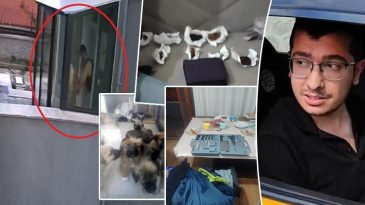 Sahiplendiği Hayvanları Katletmişti! İğrenç Detaylar Gün Yüzüne Çıktı…