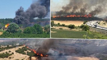 Sakarya, &Ccedil;anakkale, İzmir ve Uşak'ta Alevlerle M&uuml;cadele