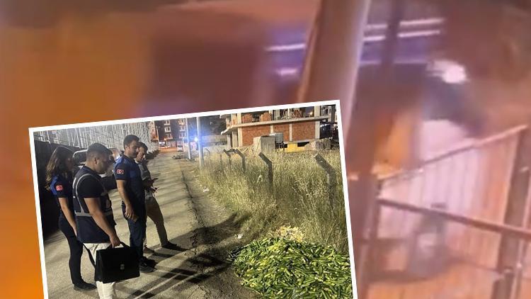 Salatalık Krizi: 17.2 Milyon Liraya Kadar Ceza Kesilecek!