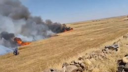 Şanlıurfa’da Buğday Tarlasındaki Yangın: 5 Yaralı, 1’i Ağır