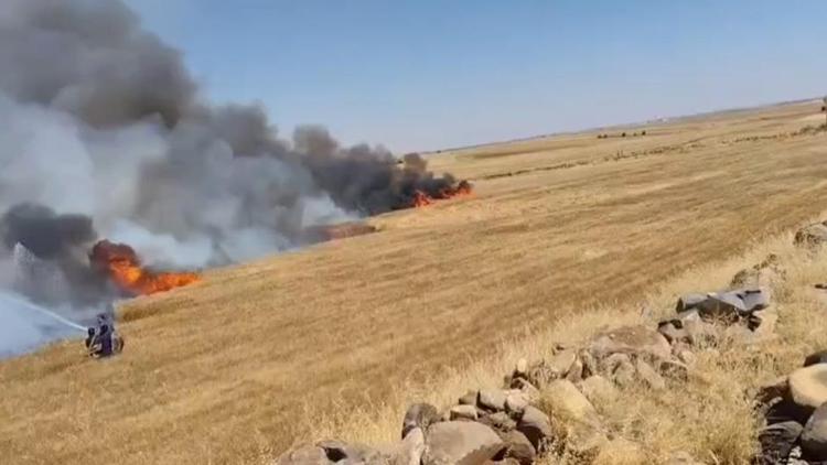 Şanlıurfa’da Buğday Tarlasındaki Yangın: 5 Yaralı, 1’i Ağır