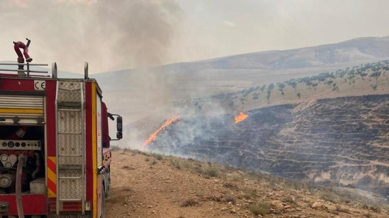 Şanlıurfa’da Orman Yangını! Hava ve Kara Müdahalesi Devam Ediyor