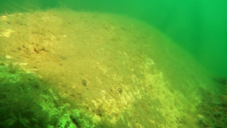 Sapanca Gölü’nde Uçağın Enkazı 53 Yıl Sonra Görüntülendi