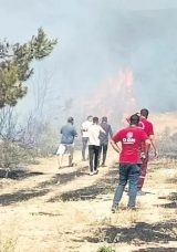 Semaver Yakarken Ormanı Yaktı