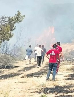 Semaver Yakarken Ormanı Yaktı