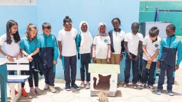 Sıfır Atık Girişimi Senegal’de Kedi Evlerine İlham Oldu